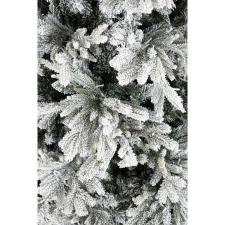 ALBER BERKSHIRE INNEVATO H240-6428R 2500L BIZZOTTO 2