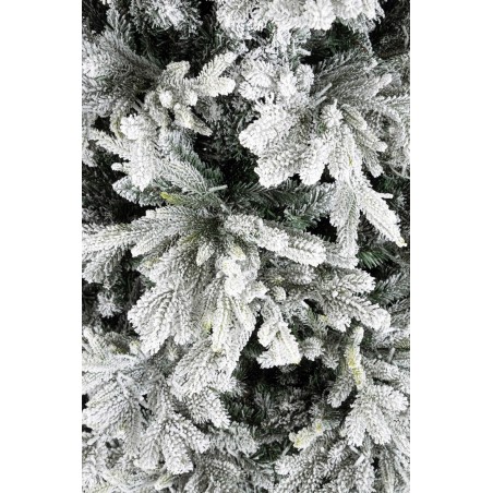ALBER BERKSHIRE INNEVATO H240-6428R 2500L BIZZOTTO