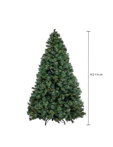 215 COLORADO 500LED 1248T PVC GREEN WARM/WHITE LED