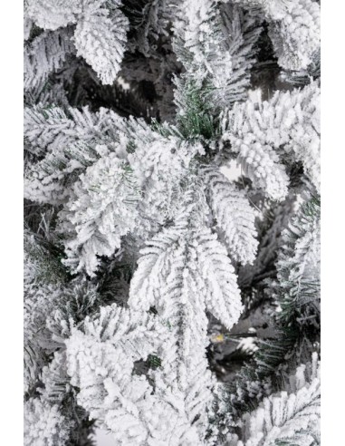 ALBERO HARVARD INNEVATO H150-1089RAMI