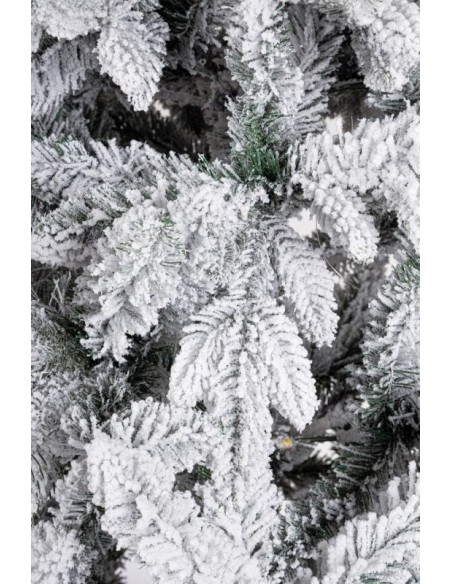 ALBERO HARVARD INNEVATO H150-1089RAMI