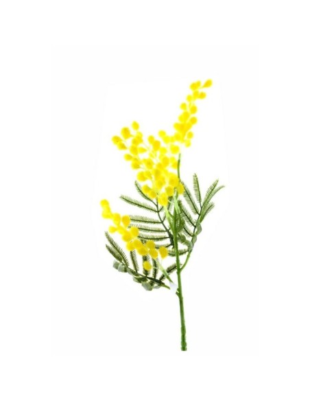 RAMIETTI MIMOSA