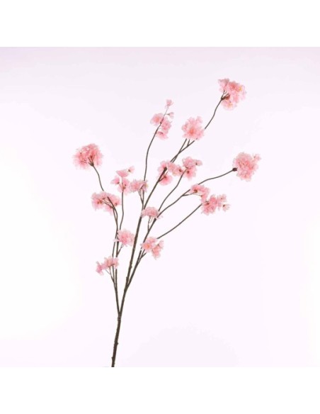 RAMI PESCO PINK 180010008-11