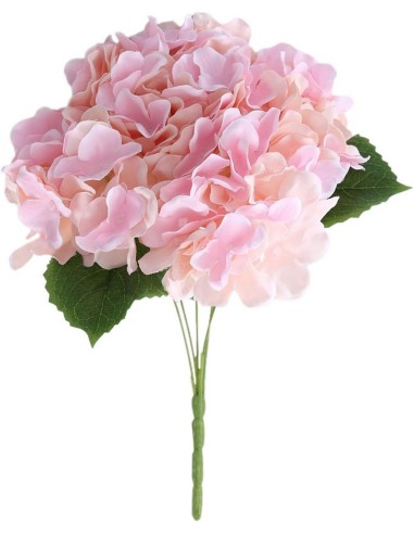 ORTENSIA  ROSA 18210006-91